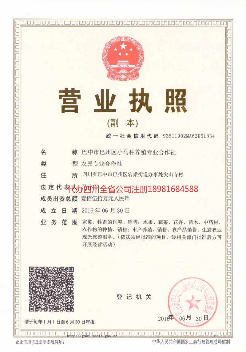 双辽双辽小马种养殖专业合作社